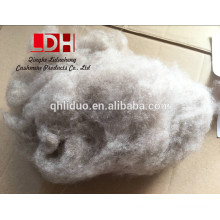 fábrica de china cardada dehaired luz violeta pure sheep lã fibra de caxemira de cabra